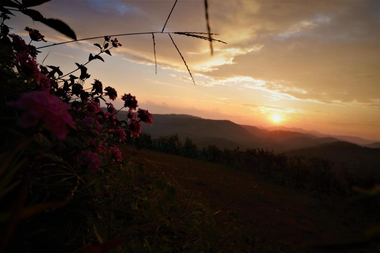 Peakaavu Cottages Idukki Kültér fotó